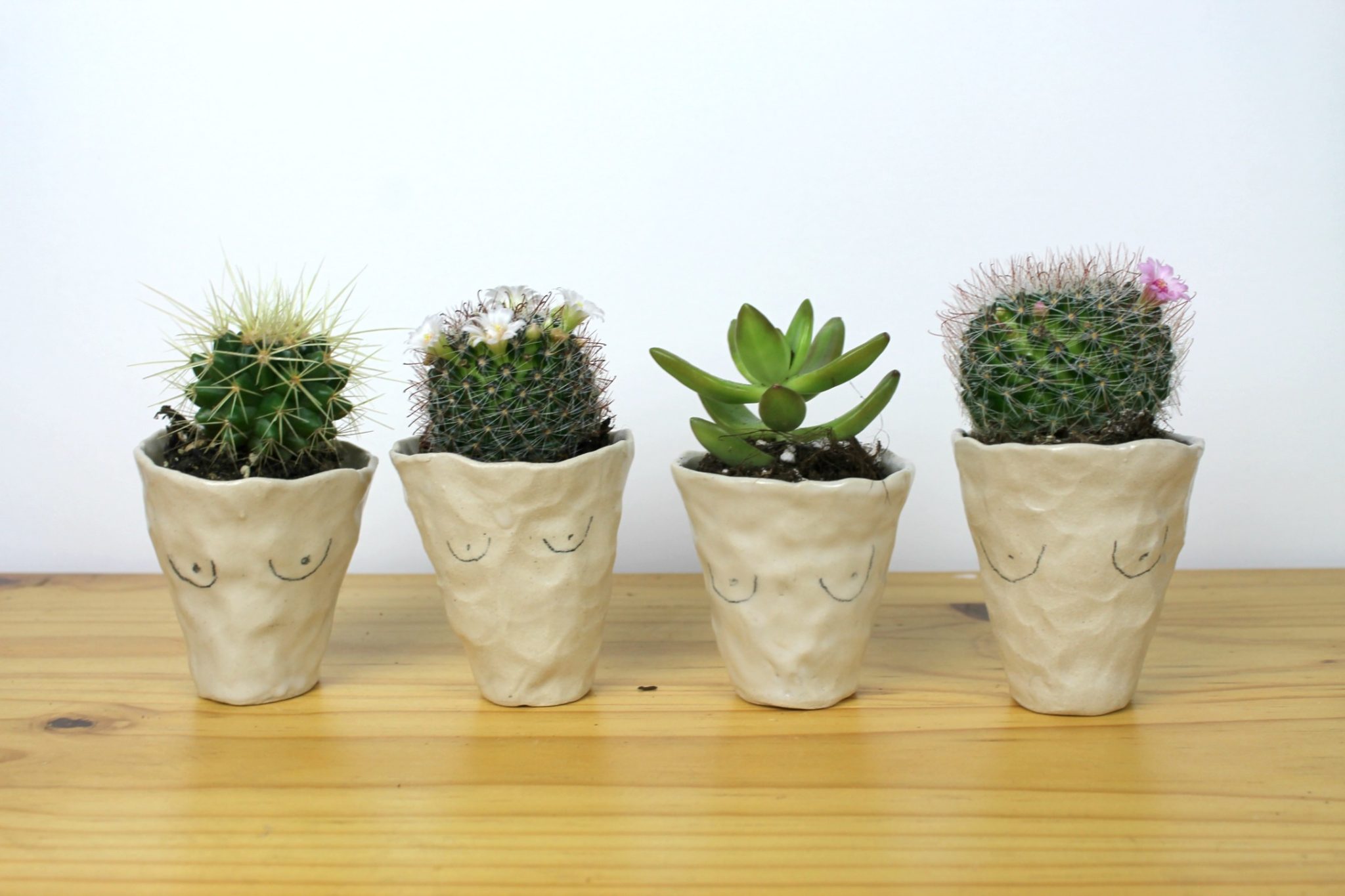 nice pear ceramics boob cactus planters
