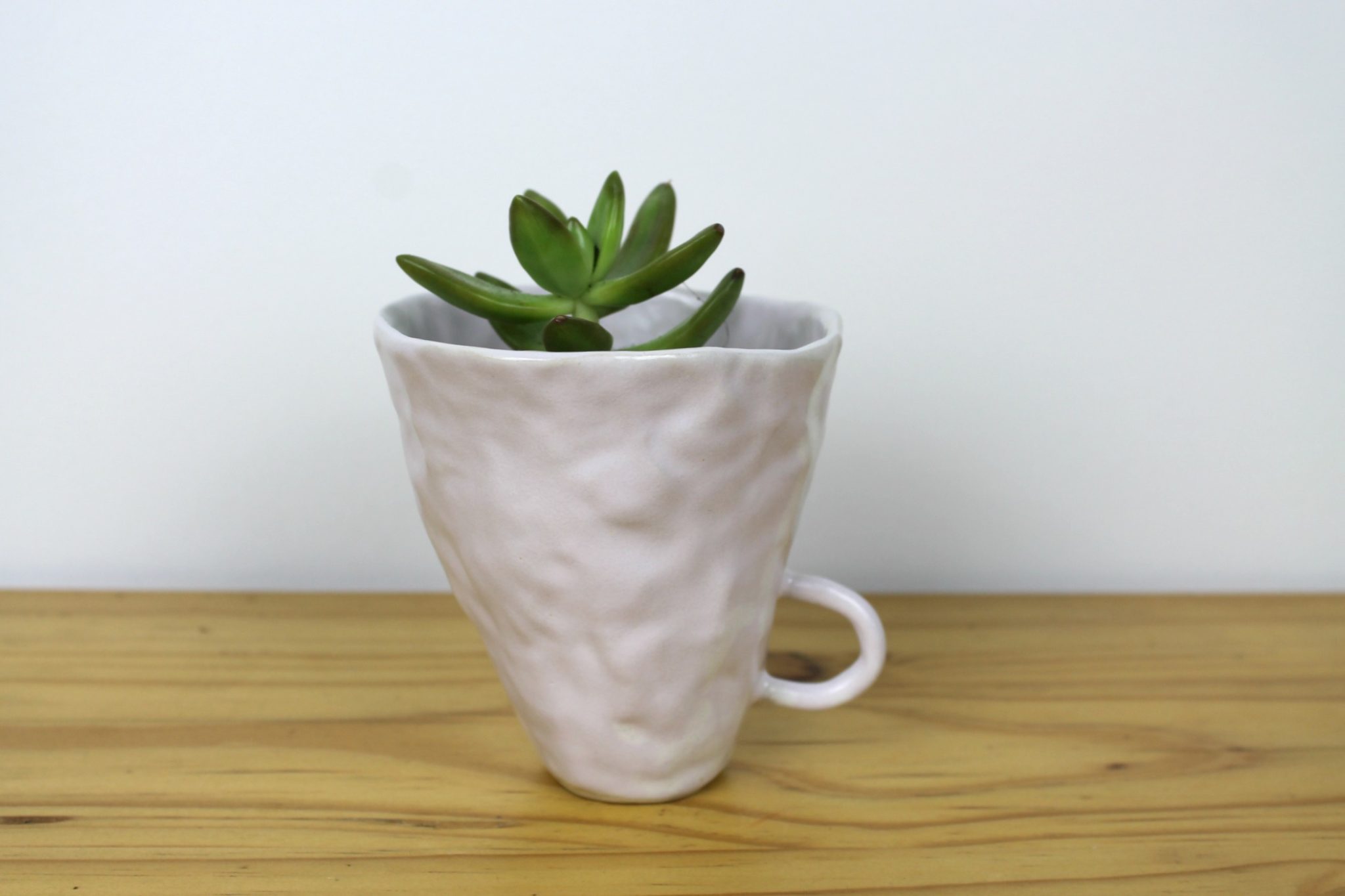 nice pear ceramics pale pink mug cactus